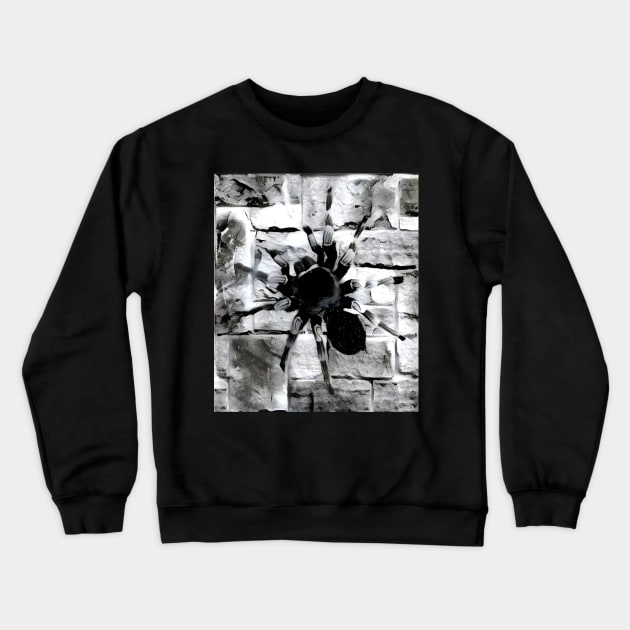 Spider Black and White Spray Paint Wall Crewneck Sweatshirt by Nuletto